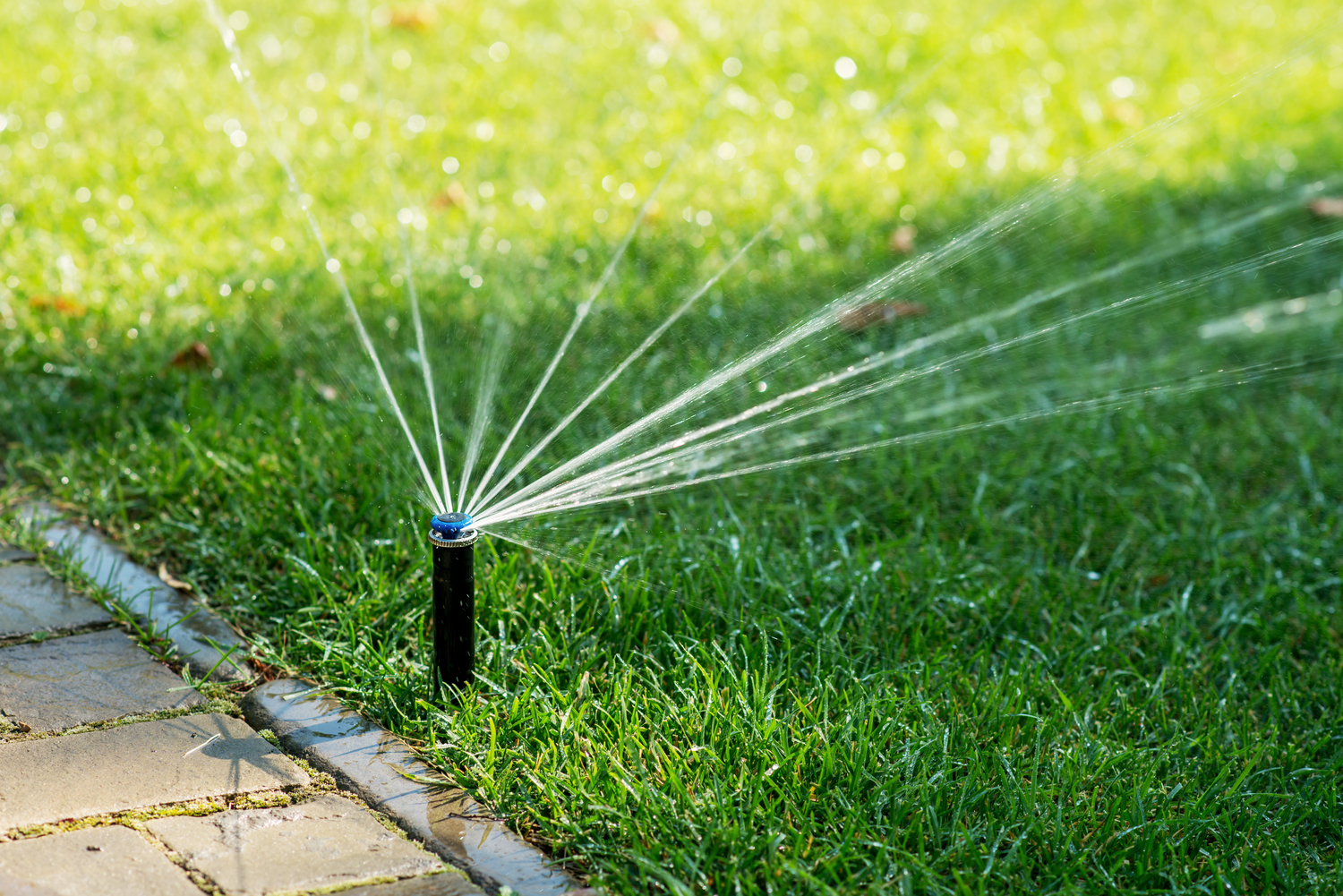 10 Landscaping Hacks That Save Time and Money
