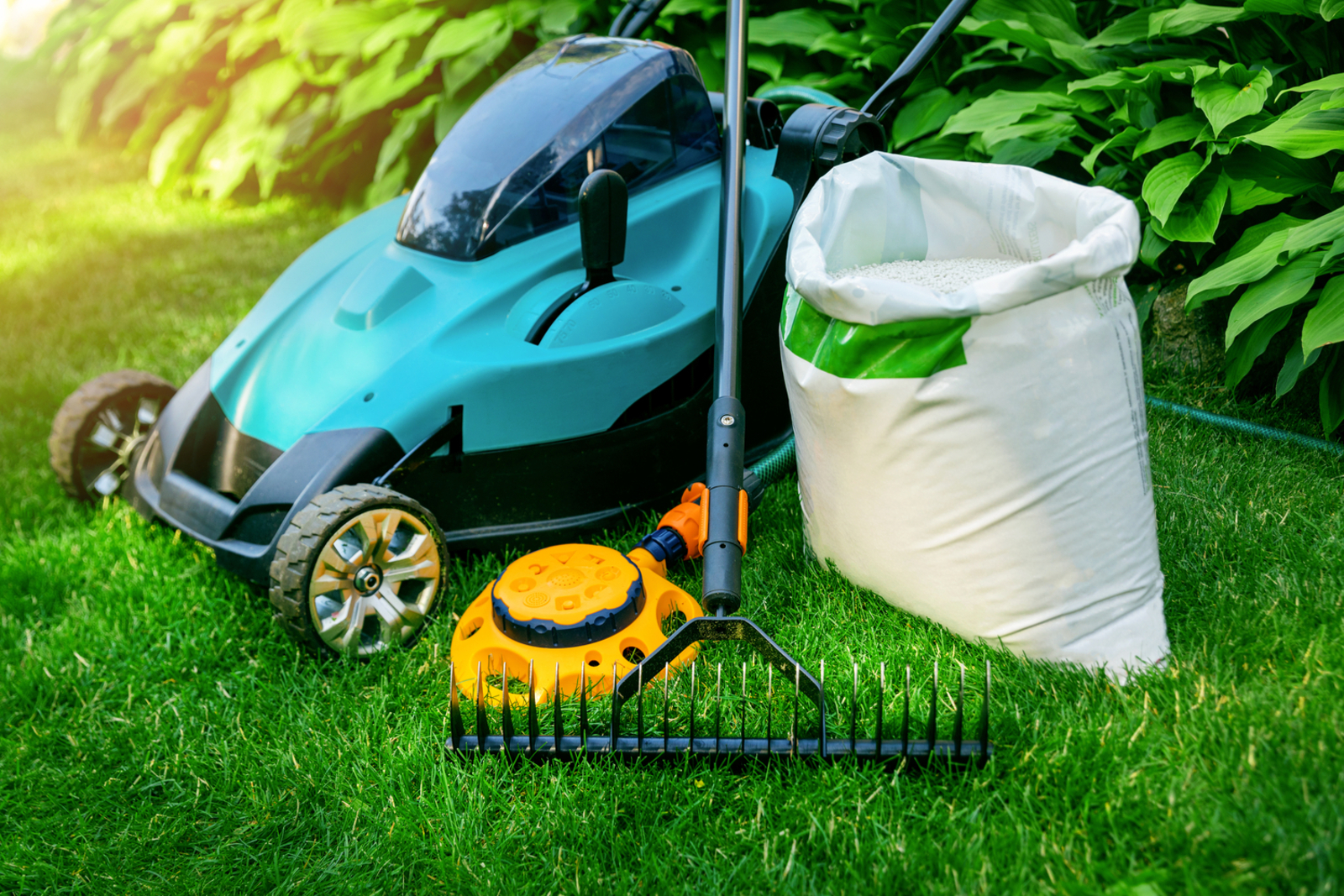 5 Ways to Take Care of a Backyard and Yard Cleanup Services to Consider